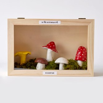 Tittskåp i trä 20x20 cm