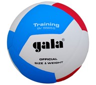 Gala volleyboll träning