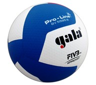 Gala volleyboll match, FIVB-godkänd