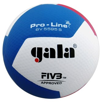 Gala volleyboll match, FIVB-godkänd