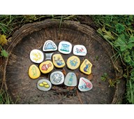 Sagostenar I havet 13-pack