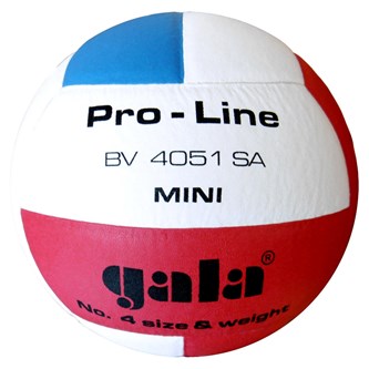 Gala volleyboll stl 4