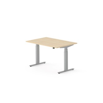 Skrivbord Work FSC BX 120x80 cm, silver stativ