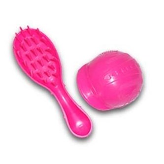 Steffi ryttare med häst