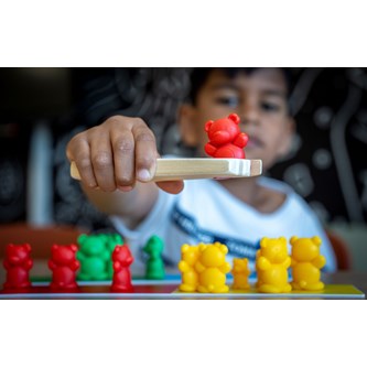 EDUCO Sortera björnar