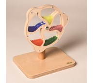 Roterande Pärlhjulet