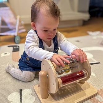 Titta- och lyssnahjulet