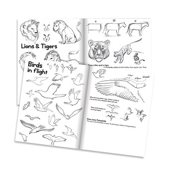 Konstbok Lär dig teckna, djur