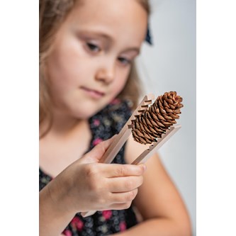 Pincett i trä, 12-pack