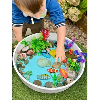 Sensoriska fiskar i sten