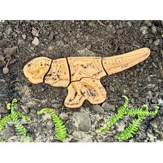 Gräv och upptäck - Ankylosaurus & Tyrannosaurus rex