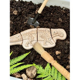 Gräv och upptäck - Ankylosaurus & Tyrannosaurus rex