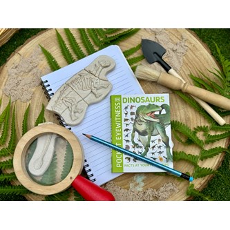 Gräv och upptäck - Ankylosaurus & Tyrannosaurus rex