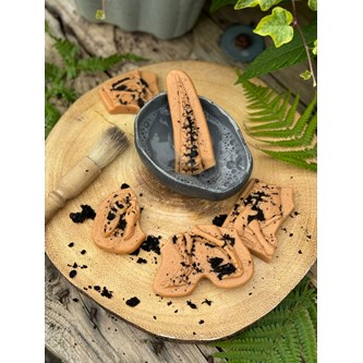 Gräv och upptäck - Ankylosaurus & Tyrannosaurus rex