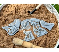 Gräv och upptäck - Triceratops & Stegosaurus