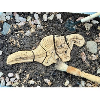 Gräv och upptäck - Triceratops & Stegosaurus