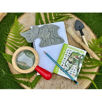 Gräv och upptäck - Triceratops & Stegosaurus