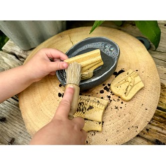 Gräv och upptäck - Pliosaur & Stegosaurus