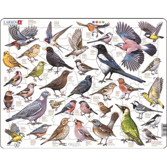 Pussel Fåglar i trädgården