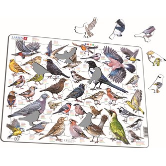 Pussel Fåglar i trädgården