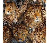Canvas mönstrad, leopard
