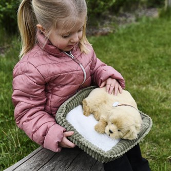 Terapihund som andas