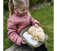 Terapihund som andas