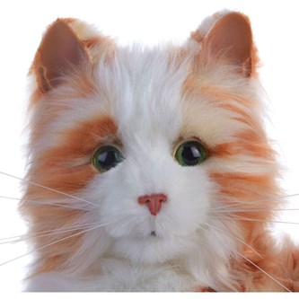 Multisensorisk och interaktiv terapikatt