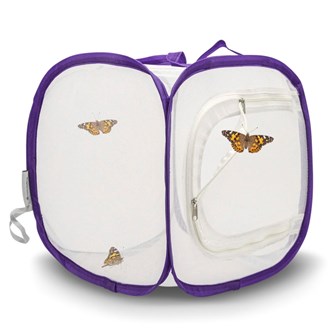 Startkit fjärilar - liten bur och burk med larver