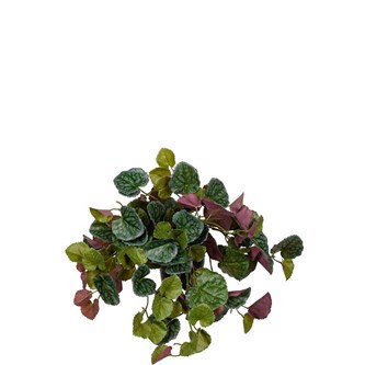 Konstväxt Senecio hängande 23 cm