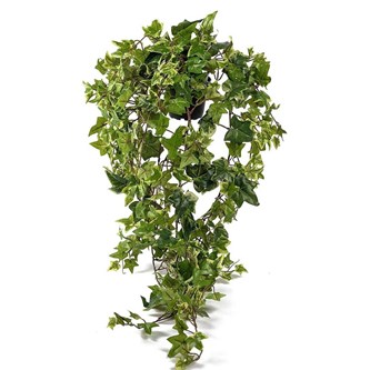 Konstväxt Murgröna hängande 85 cm