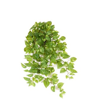 Konstväxt Gullranka hängande 100 cm