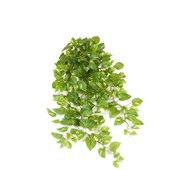 Konstväxt Gullranka hängande 100 cm