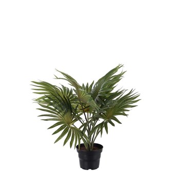 Konstväxt Palm 35 cm