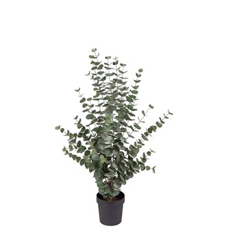 Konstväxt Eucalyptus 110 cm