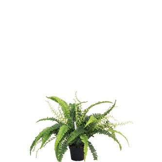 Konstväxt Ormbunke 41 cm