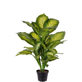 Konstväxt Prickblad 55 cm