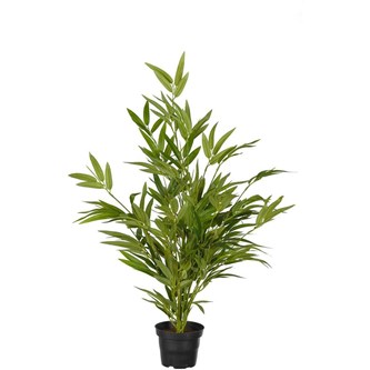 Konstväxt Bambu 60 cm