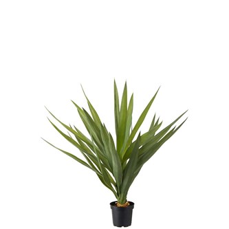 Konstväxt Yucca palm 65 cm