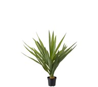 Konstväxt Yucca palm 65 cm