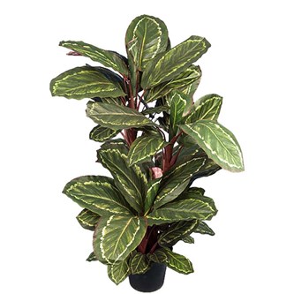 Konstväxt Maranta 104 cm