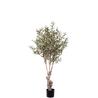 Konstväxt Oliv 150 cm