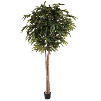 Konstväxt Longifolia 260 cm