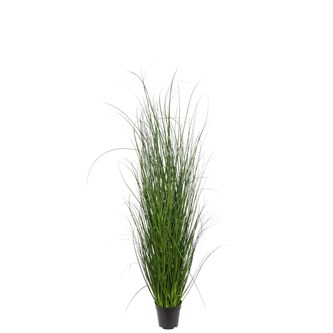 Konstväxt Miscanthus 140 cm