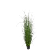 Konstväxt Miscanthus 140 cm