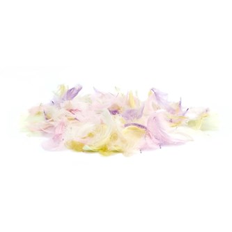 Kalkonfjädrar pastellfärg