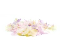 Kalkonfjädrar pastellfärg