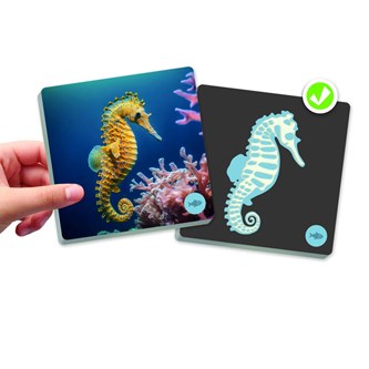 Memory Djur & skelett