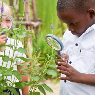 Förstoringsglas, 4 st