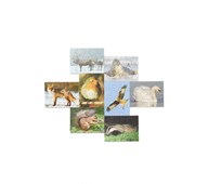 Pussel Nordiska djur, 8-pack